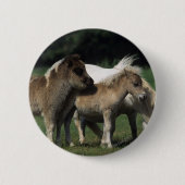 Miniaturstute u. Fohlen 3 Button (Vorderseite)