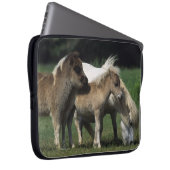 Miniaturstute u. Fohlen 3 Laptopschutzhülle (Vorne Rechts)