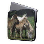 Miniaturstute u. Fohlen 3 Laptopschutzhülle (Vorderseite Links)