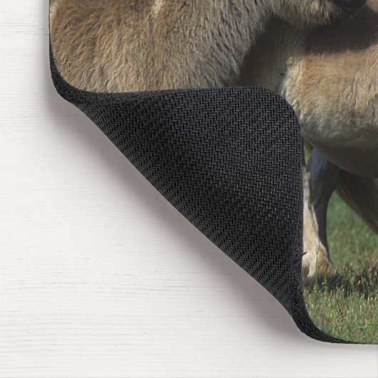 Miniaturstute u. Fohlen 3 Mousepad (Ecke)