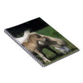 Miniaturstute u. Fohlen 3 Notizblock (Rechte Seite)