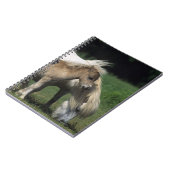 Miniaturstute u. Fohlen 3 Notizblock (Linke Seite)