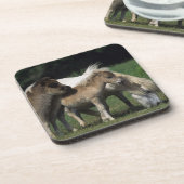 Miniaturstute u. Fohlen 3 Untersetzer (Linke Seite)