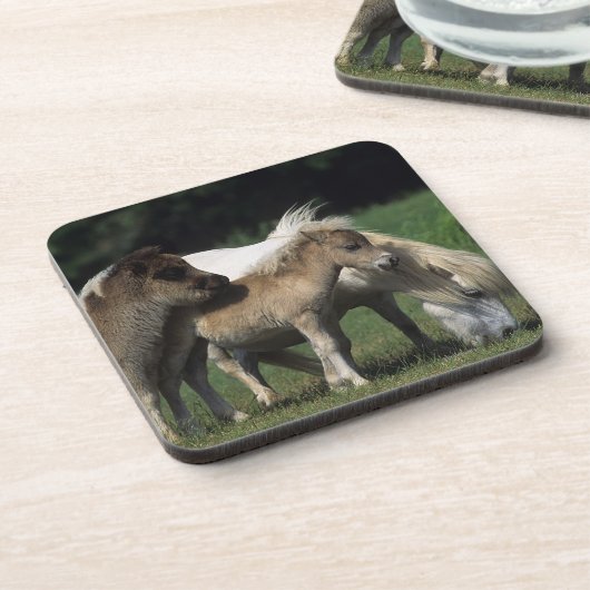 Miniaturstute u. Fohlen 3 Untersetzer (Linke Seite)