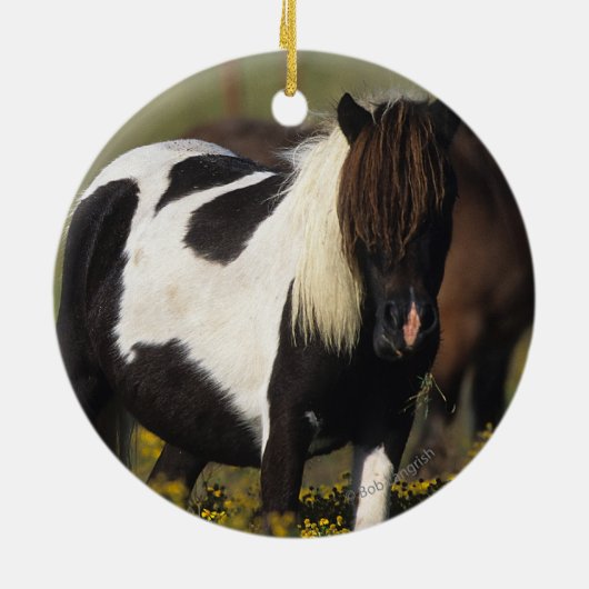 Miniaturstute u. Fohlen in den Blumen Keramikornament (Hinten)