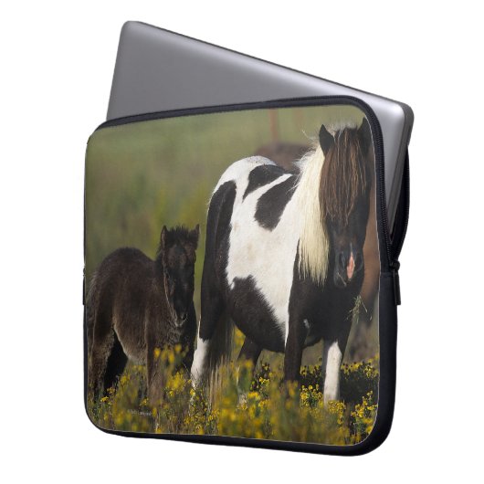 Miniaturstute u. Fohlen in den Blumen Laptopschutzhülle (Vorderseite Links)