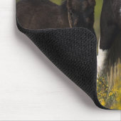 Miniaturstute u. Fohlen in den Blumen Mousepad (Ecke)