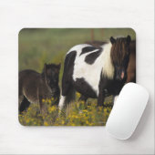 Miniaturstute u. Fohlen in den Blumen Mousepad (Mit Mouse)