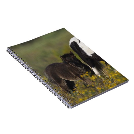 Miniaturstute u. Fohlen in den Blumen Notizblock (Rechte Seite)