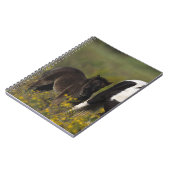 Miniaturstute u. Fohlen in den Blumen Notizblock (Linke Seite)