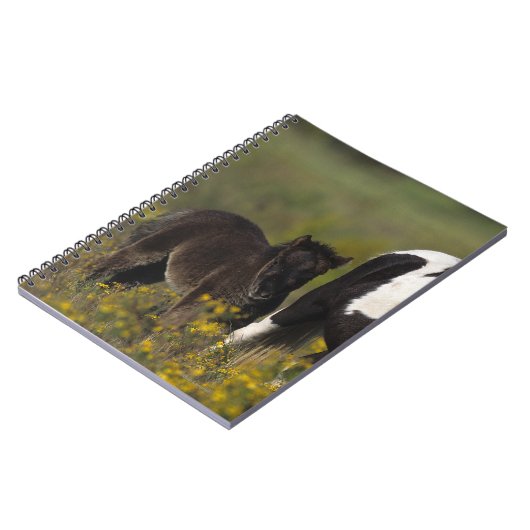 Miniaturstute u. Fohlen in den Blumen Notizblock (Linke Seite)