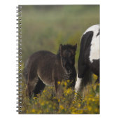 Miniaturstute u. Fohlen in den Blumen Notizblock (Vorderseite)