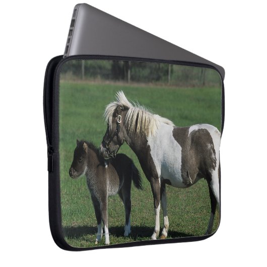 Miniaturstute u. Fohlen stehend Laptopschutzhülle (Vorne Rechts)