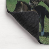 Miniaturstute u. Fohlen stehend Mousepad (Ecke)