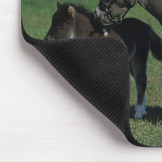 Miniaturstute u. Fohlen stehend Mousepad (Ecke)