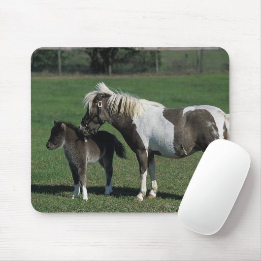 Miniaturstute u. Fohlen stehend Mousepad (Mit Mouse)