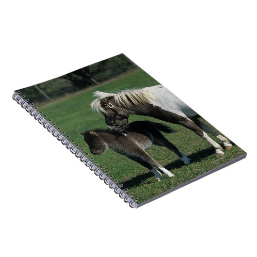 Miniaturstute u. Fohlen stehend Notizblock (Rechte Seite)