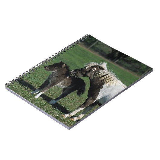 Miniaturstute u. Fohlen stehend Notizblock (Linke Seite)