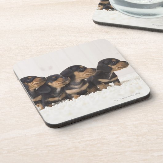 MiniDackel vier Untersetzer (Linke Seite)