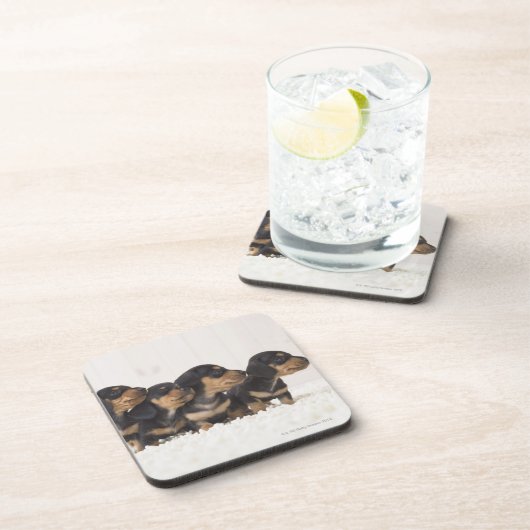 MiniDackel vier Untersetzer (Rechte Seite)