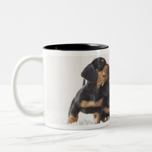 MiniDackel vier Zweifarbige Tasse (Links)