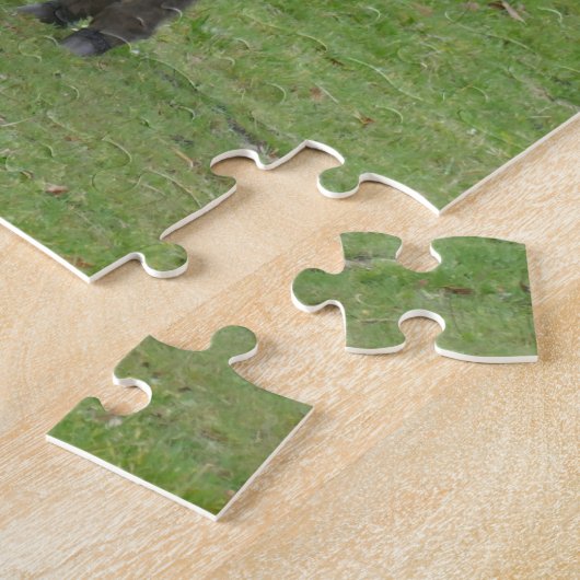 Miniesel in einer Koppel Puzzle (Seite)