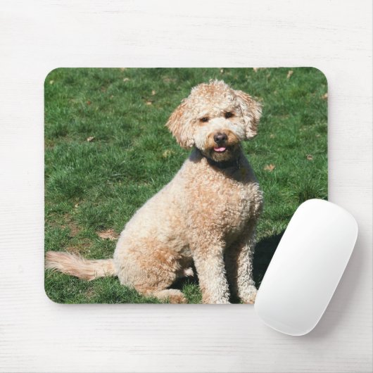 MiniGoldendoodle Welpe mousepad (Mit Mouse)