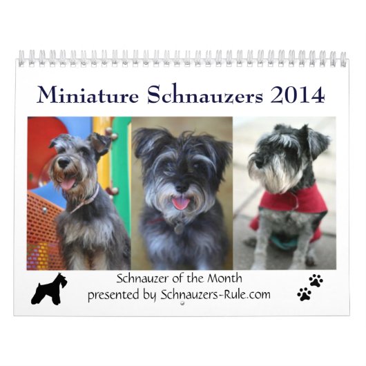Minikalender des schnauzer-2016 kalender (Titelbild)