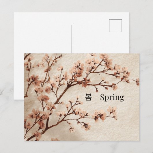 Minimal Cherry Blossom Spring Postcard Postkarte (Vorne/Hinten)