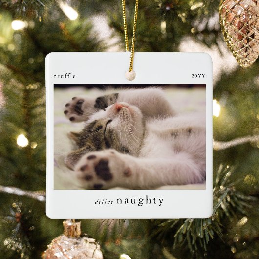 Minimal Definition des Fotos "Naughty Pet" Keramikornament