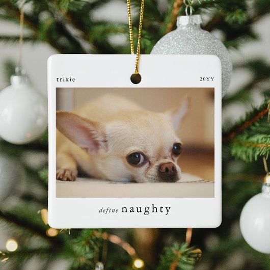 Minimal Definition des Fotos "Naughty Pet" Keramikornament