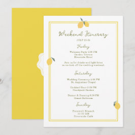 Minimal Lemon Amalfi Coast Wedding Itinerary Card Einladung