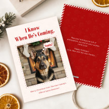Minimal lustiges niedliches Hunde-Foto Weihnachten