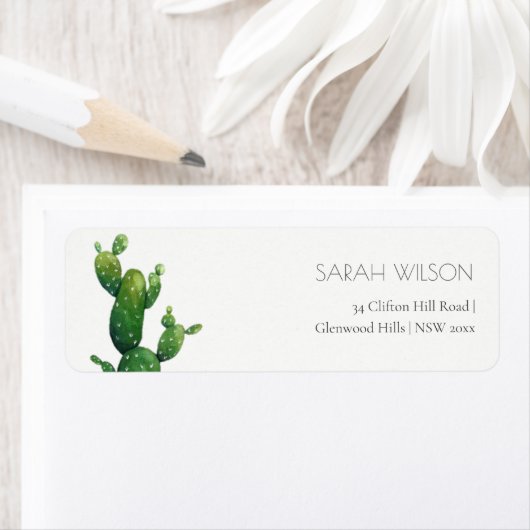 Minimal Potted Cactus Green Foliage Adresse (Insitu)