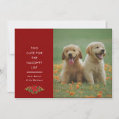 Minimal süße Sprüche Haustier Weihnachtsfoto Feiertagskarte (Vorderseite)