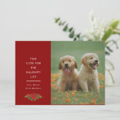 Minimal süße Sprüche Haustier Weihnachtsfoto Feiertagskarte (Stehend Vorderseite)