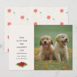 Minimal süßer Spruch Haustier Weihnachtsfoto Feiertagskarte