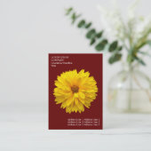 Minimale Blume - Chrysanthemum - Deep Maroon Visitenkarte (Stehend Vorderseite)