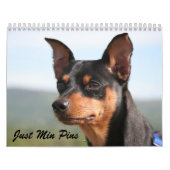 Minimale Buttone 2013 Kalender (Titelbild)