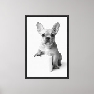 Minimale Fotografie Französische Bulldogge Welpe T Leinwanddruck