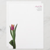 Minimale moderne rosa Tulpe-persönlicher Briefkopf (Vorne/Hinten)