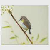 Minimale Natur-Vogelumwickelpapier Geschenkpapier (Flach)