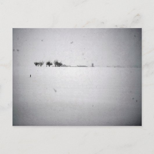 Minimale Schneeballkarte Postkarte (Vorderseite)