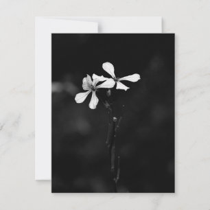 minimale schwarze und weiße Blumenelemente Dankeskarte