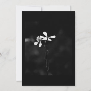 minimale schwarze und weiße Blumenelemente Dankeskarte