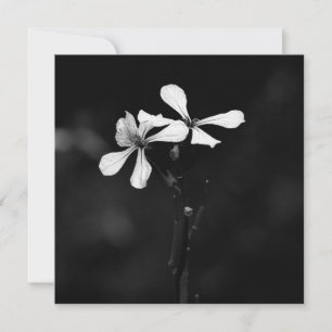 minimale schwarze und weiße Blumenelemente Feiertagskarte
