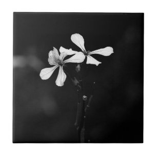 minimale schwarze und weiße Blumenelemente Fliese