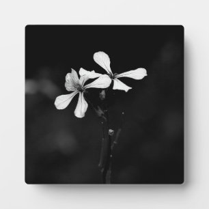 minimale schwarze und weiße Blumenelemente Fotoplatte