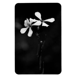 minimale schwarze und weiße Blumenelemente Magnet