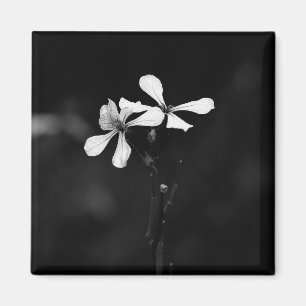 minimale schwarze und weiße Blumenelemente Magnet